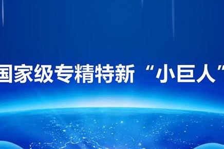 我司榮獲“專精特新小巨人”榮譽(yù)稱號，彰顯創(chuàng)新實力與卓越品質(zhì)